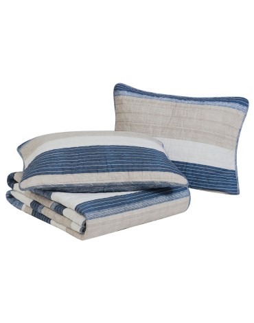 Blue Cotton Reversible 2 Piece Quilt Set, Twin