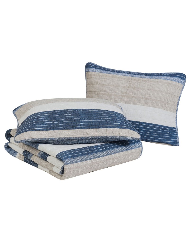 Blue Cotton Reversible 2 Piece Quilt Set, Twin