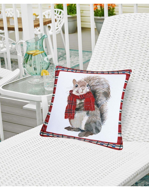Plaid Squirrel Pillow, 18